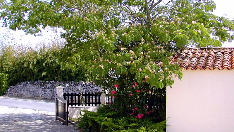 Entrance to 'Chez Gites'