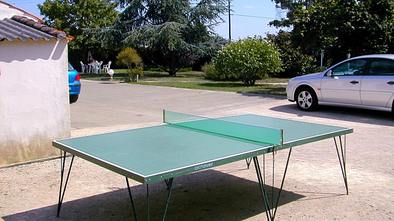 Table Tennis Area
